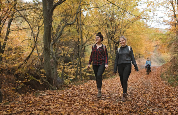 istock Friends hiking through the forest 1213830020