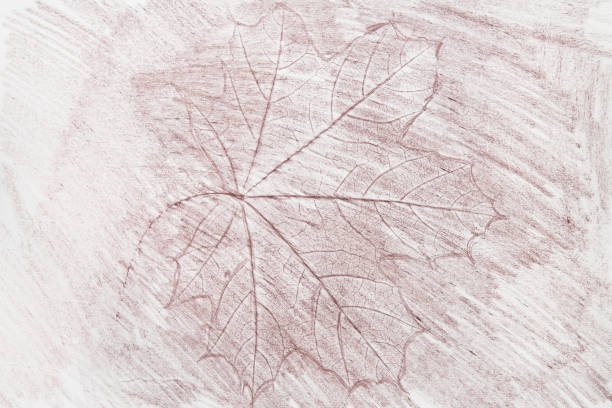 brown color crayon doodles on paper background texture