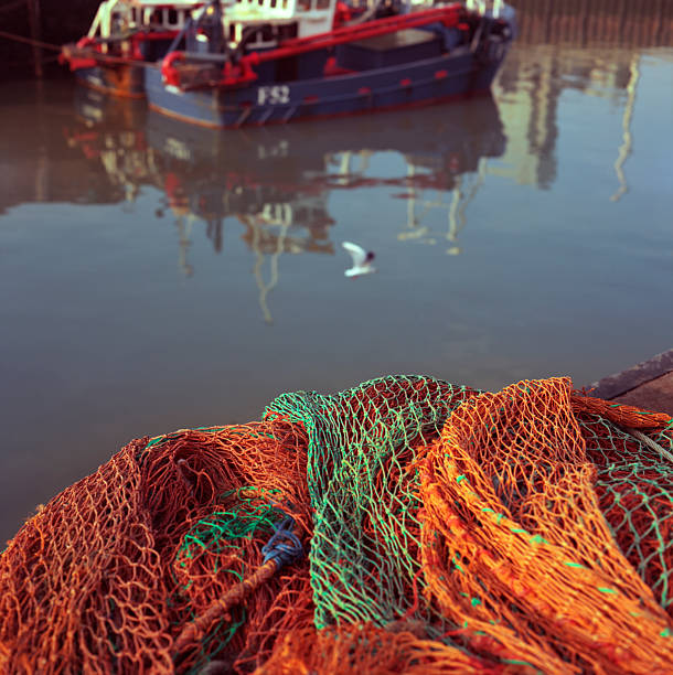 Fishing nets and boats