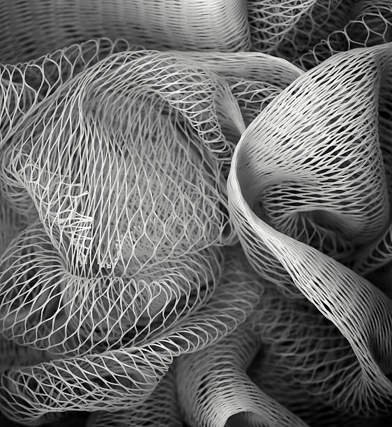 Individuals Joining Together As Team, Company, Family or Network.  This is a visual metaphor for individuals joining together to form an entity larger and more significant than themselves.
