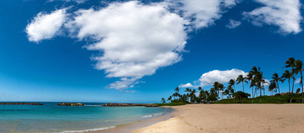 istock Panoramic view of a beach in Hawaii 1213834209