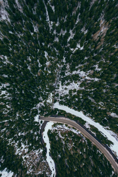istock road in snow covered forest, top down aerial view 1213834554