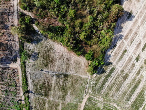Aerial photography drone countryside agriculture and forest