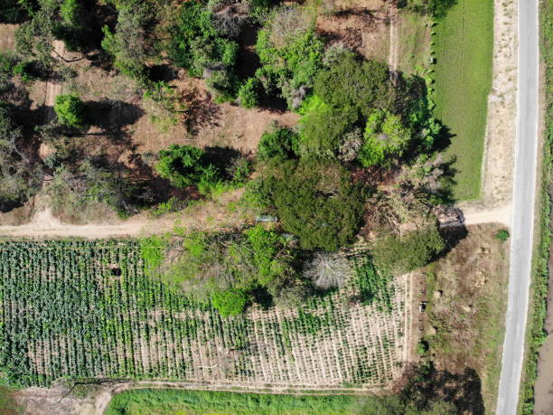 Aerial photography drone countryside agriculture and forest