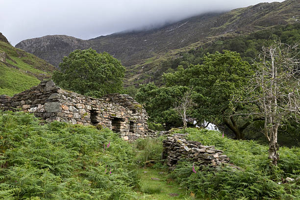 istock Abandoned slate cottage in welsh valleys 121383489