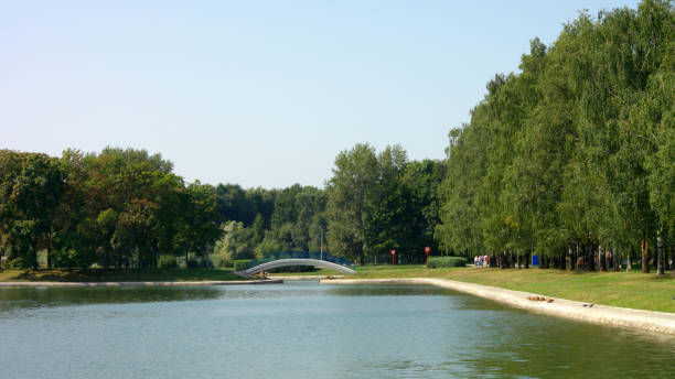 istock summer in city park 1213842042