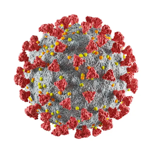 coronavirus isolated on white background, 3D render illustration