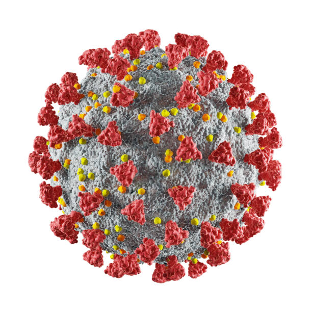在白色背景上分離的冠狀病毒，3d渲染 - 2019冠狀病毒病 圖片 個照片及圖片檔