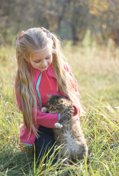 istock Child holding little kitten 1213846394