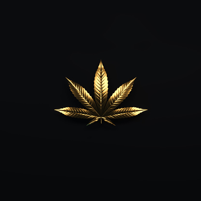 500+ Marijuana Leaf Pictures [HD] | Download Free Images on Unsplash