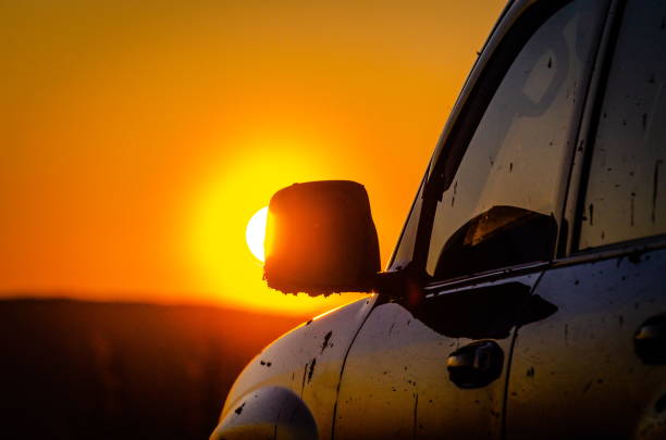 istock SUV travels in the Carpathians 1213849021