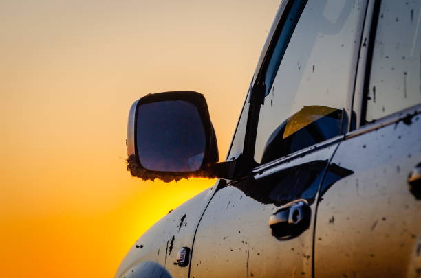 istock SUV travels in the Carpathians 1213849055