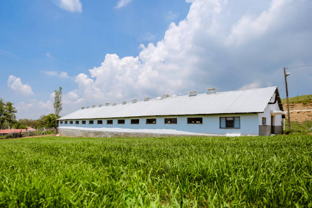 istock large farm with green grass in front 1213851692