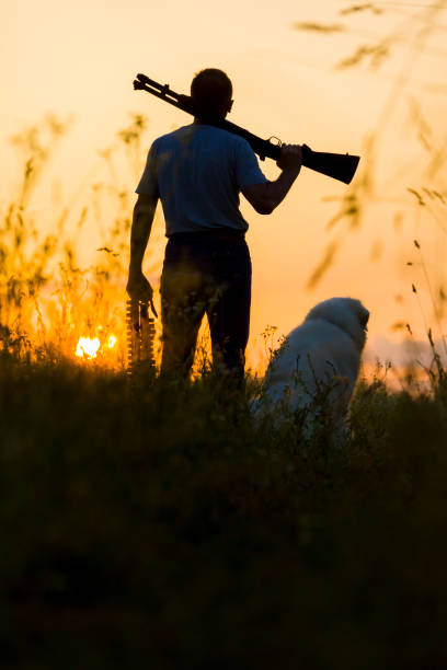 istock Hunter with rifle looking to the morning sun 1213852224