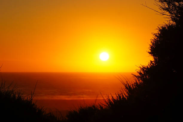 Sunset of Piha Beach Sillouette. Orange Sun. High Qualtity