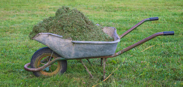 istock wheelbarrow in garden 1213855585
