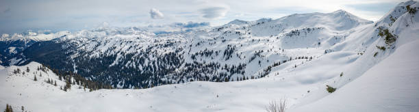 istock Planneralm skiing resort in winter,  Austrian Alps 1213857084