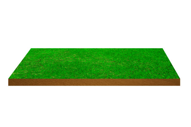 istock Green grass field isolated on white background with clipping path 1213867101