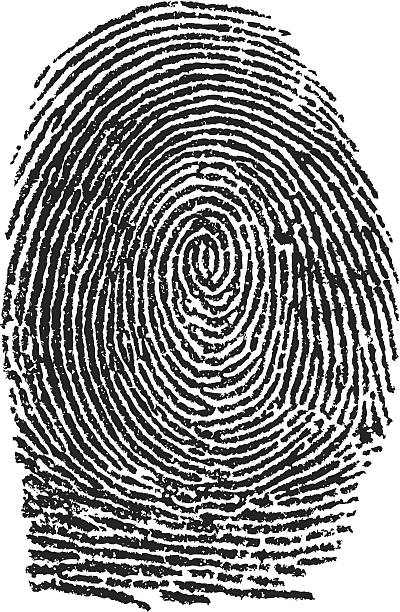 Black and white close up of a fingerprint vector art illustration
