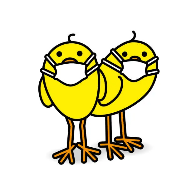 Vector illustration of Two Yellow Chicks_Maska