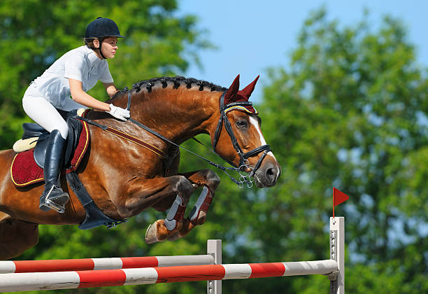 istock Female equestrian and brown bay mare jumping 121387204