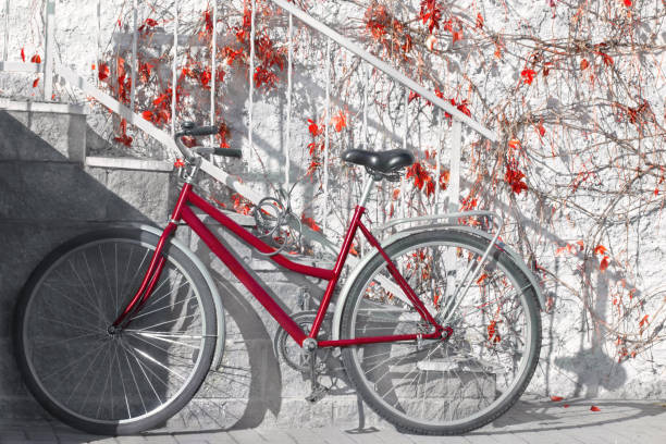 An ecological bicycle adorned with leaves growing on it!