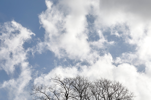 March in southern England is early in the spring, and is traditionally accompanied by mad March winds that tear up the clouds to produce cloudscapes such as this. The picture is grounded by the appearance of bare tree branches at bottom.