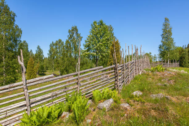 istock Roundpole fence on a meadow at summer 1213879565