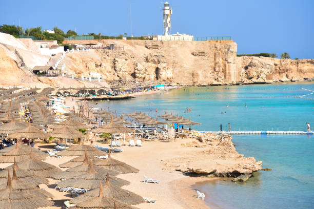 istock Rocky sea beach hotel in egypt 1213879907
