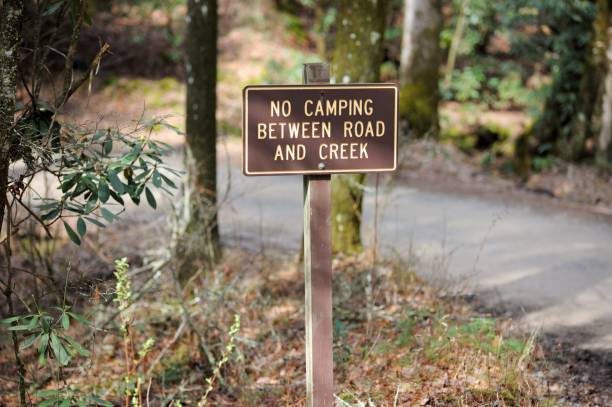 istock No camping between road and creek road sign 1213882716