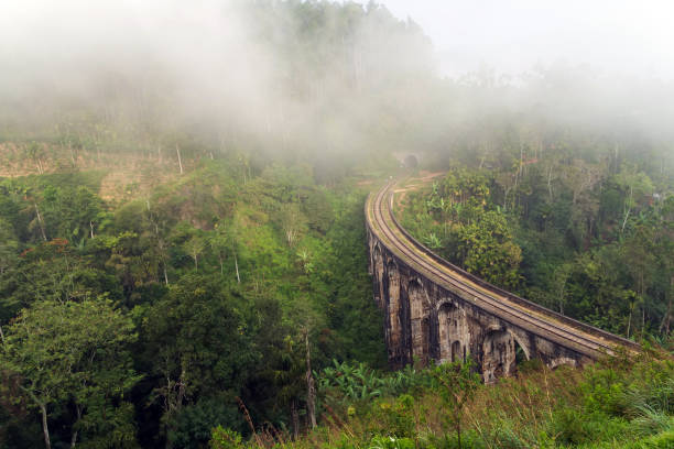 istock mist and rain forest Demodara in Sri Lanka 1213885598