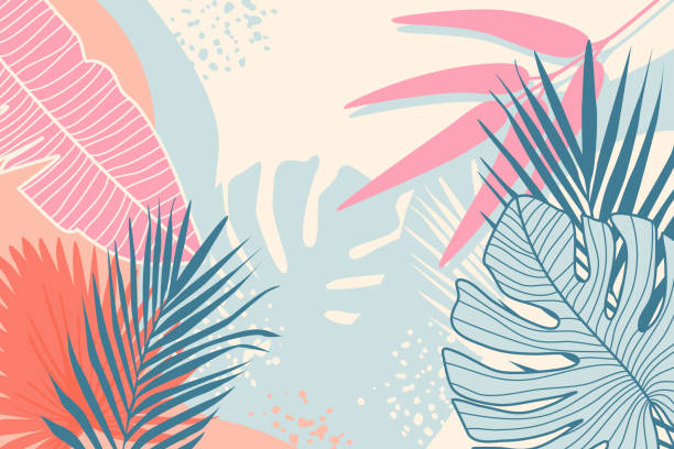 ilustraciones, imágenes clip art, dibujos animados e iconos de stock de fondo tropical moderno. plantas de la selva natural telón de fondo. palma de verano deja fondo de pantalla. - verano