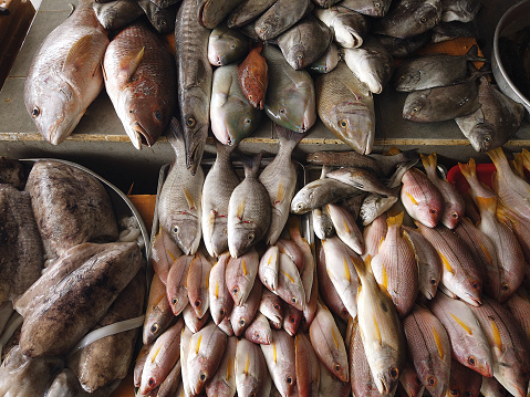 Assorted Seafish at a Fish Market
