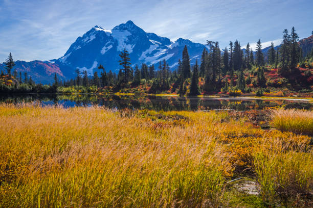 istock Autumn colors, Mount Shuksan 1213890844