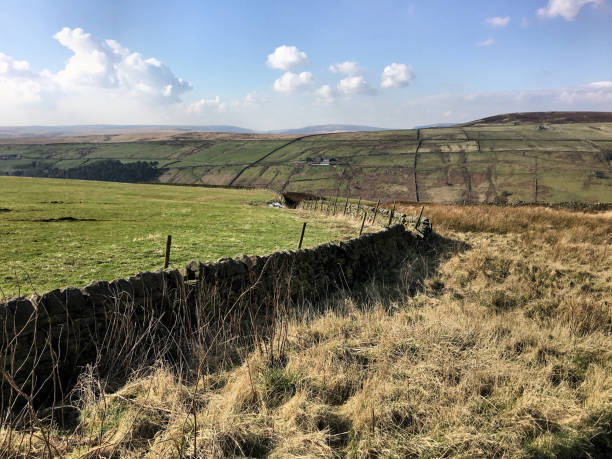 istock A view of the Yorkshire Moors 1213890886