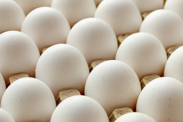 istock Chicken eggs in the cell egg tray. Top view, background. 1213892767