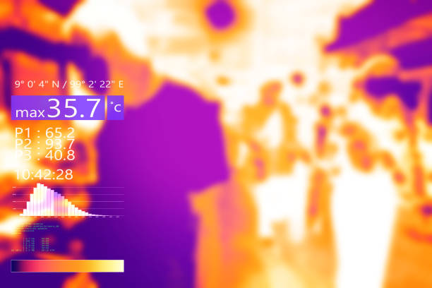 Thermographic image of the lower back, sacrum, of the upper body showing different temperature in a range of colors from blue showing cold to red showing hot which can indicate sacral inflammation.