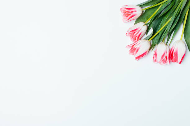 istock Floral background bouquet fresh pink tulips 1213893143
