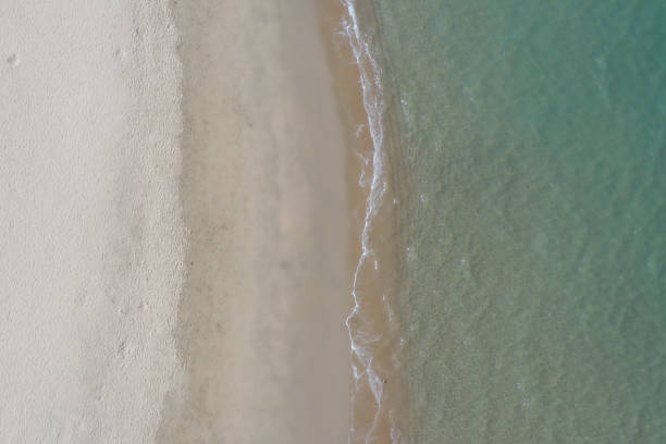 istock Aerial View of Shoreline 1213895639