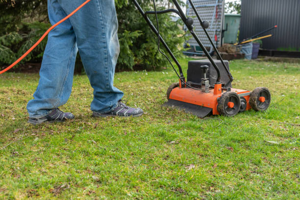 istock Lawn thatcher in action 1213895673