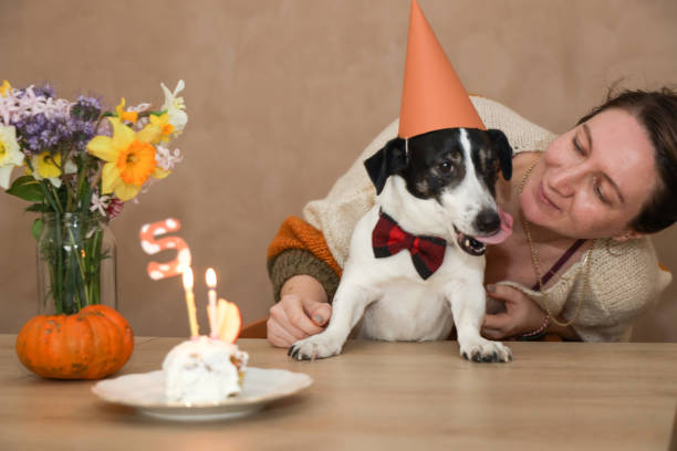 istock jack russel celebrating birthday with cake 1213895729