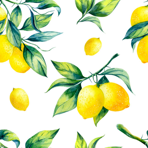 illustrations, cliparts, dessins animés et icônes de modèle sans couture de citron d’aquarelle - lemon portion citrus fruit juice