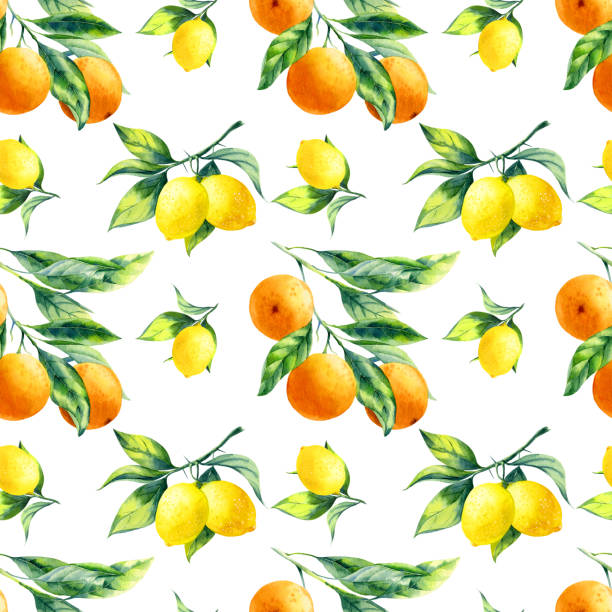 illustrations, cliparts, dessins animés et icônes de citrons à l’aquarelle et oranges sans couture modèle - lemon portion citrus fruit juice