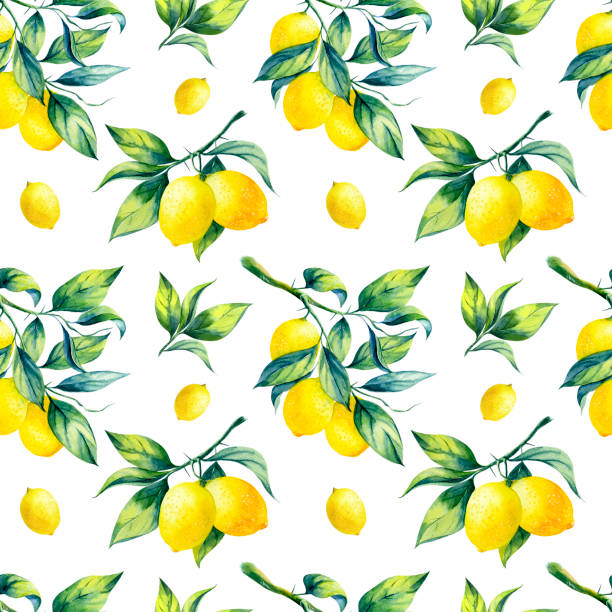 illustrations, cliparts, dessins animés et icônes de modèle sans couture de citron d’aquarelle - lemon portion citrus fruit juice