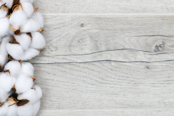 istock Raw Cotton on wooden background 1213897024