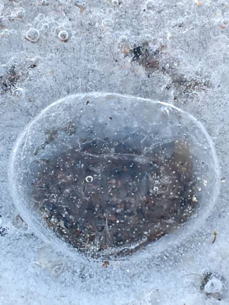 istock Beautiful macrophotography of ice bubble 1213897781