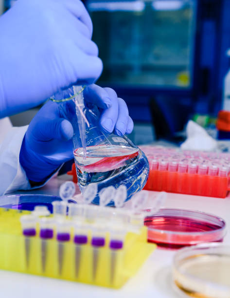 istock Scientist working with a pipette and a flask, in plastic tubes for DNA studies. Concept of science, laboratory and study of diseases. Coronavirus (COVID-19) treatment developing. 1213899073