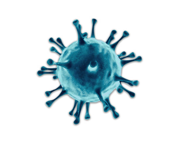 istock illustration ideas shape of the Coronavirus disease 2019 (COVID-19), China pathogen respiratory that danger virus , Microscopic view of a infectious virus. COVID-19 red background. Clipping path. 1213899241