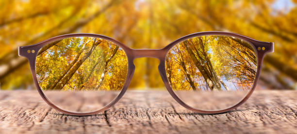 istock View through eyeglasses to nature 1213900992