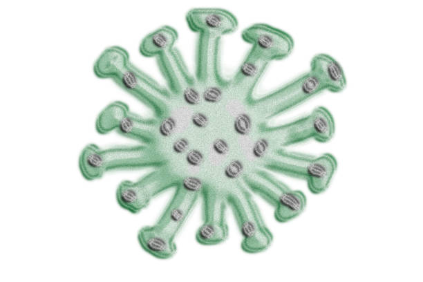 istock Abstract viral cell on a white background 1213901001